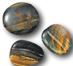 Tigerauge - Falkenauge | Sehen und Entscheiden