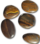 Tigereisen - Tiger im Tank