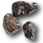 Turitella Jaspis Trommelstein - Rückzug und Besinnung