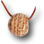 Aragonit gebändert Anhänger gebohrt -  Hyperaktivität, ADS, ADHS, Knorpel und Bandscheiben